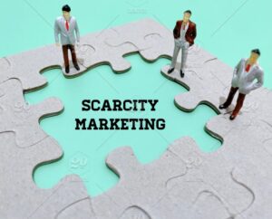 apa itu scarcity