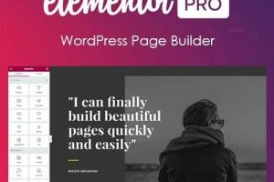 elementor